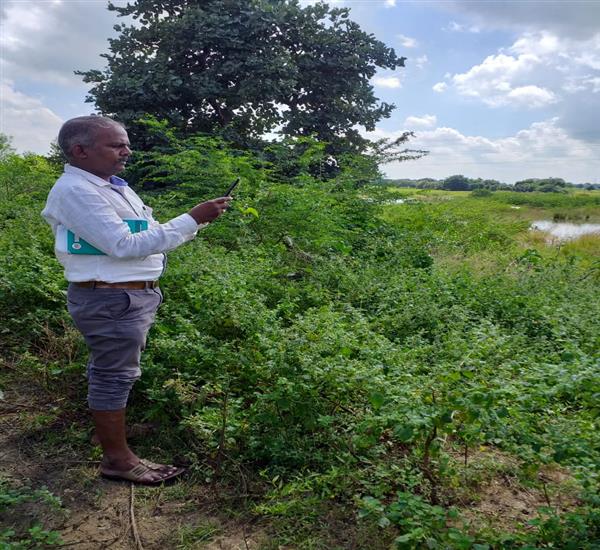 Warangal Urban District                                                                                                                                                                                                                                    - Minor Irrigation Census-6                                                                                                                              - CWB- RE SURVEY OF UN SYNCHRONIZED TANKS IN NERELLA VILLAGE KAMALAPUR MANDAL                                                                                                                                                                                     - dt.26/10/2019          